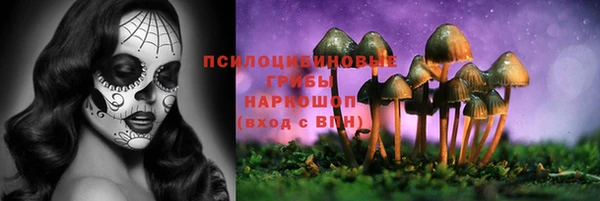 ALPHA-PVP Заволжье