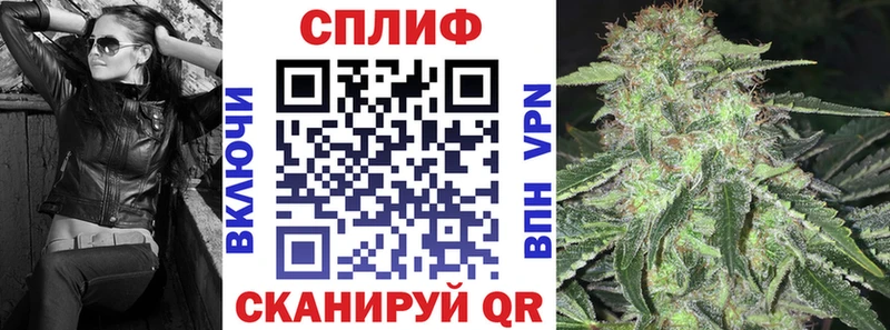 Каннабис тримм  Купить закладки  Болотное 